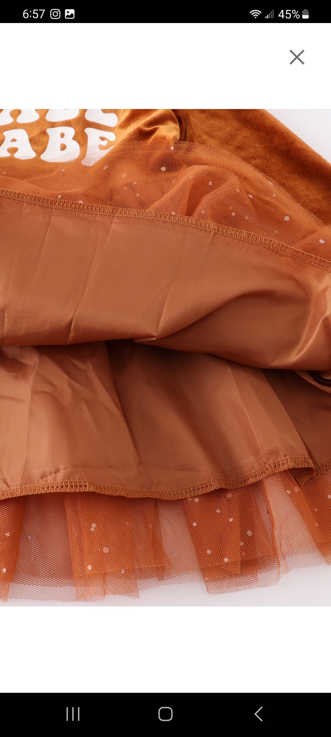 Fall Babe Velvet and Tulle Dress