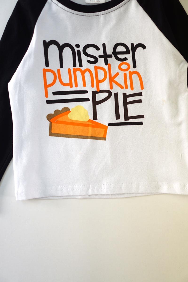 Mister Pumpkin Pie Raglan